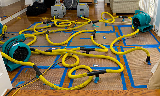 Professional Structural Drying And Dehumidification technician working in Porters Falls, WV